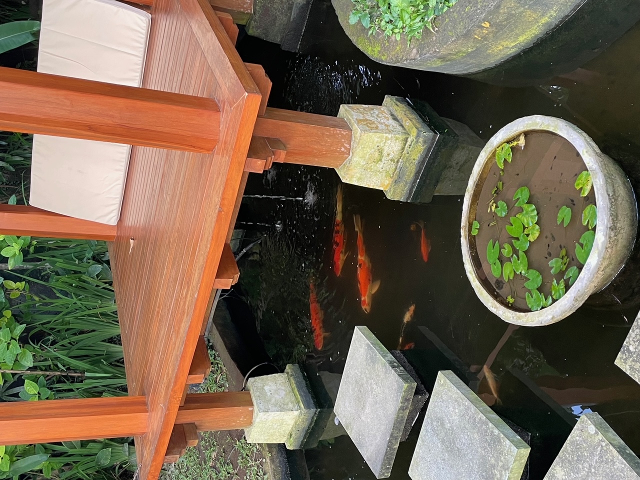 Traditional Balinese bale pavilion beside tranquil koi pond