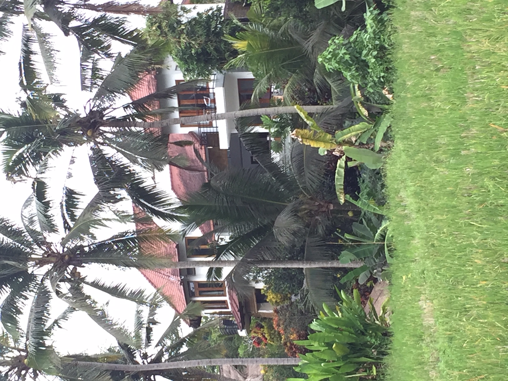 Rear exterior view of Villa Sancita and surrounding grounds