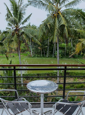 View from Second Bedroom Balcony